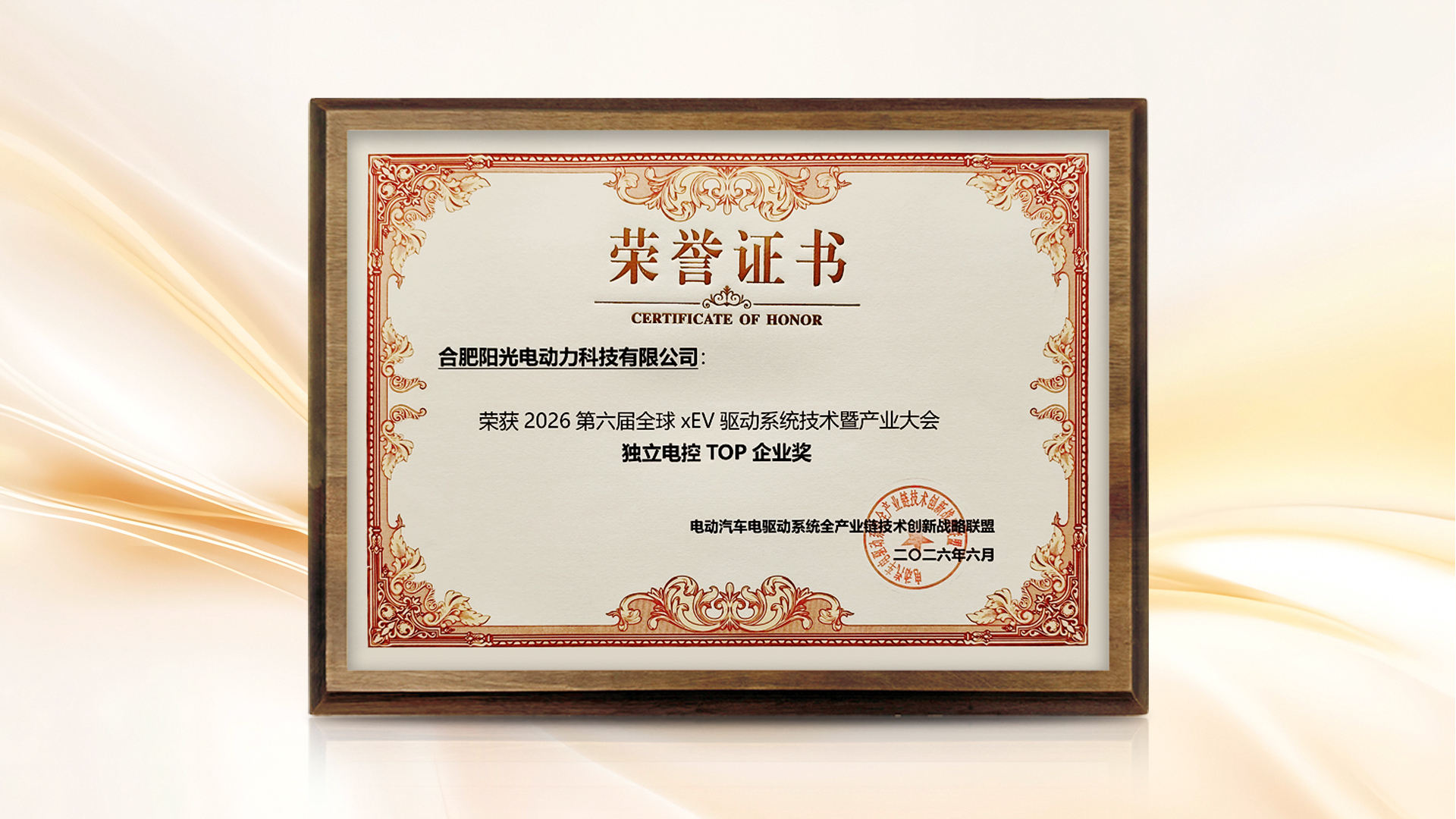 独立电控TOP企业 (1).jpg